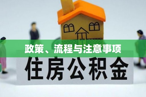 车城政策、流程与注意事项