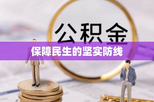 车城保障民生的坚实防线
