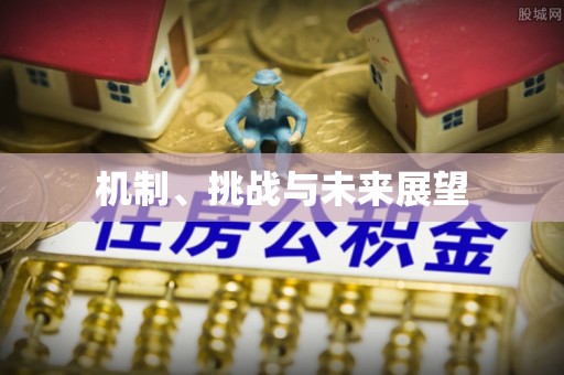 车城机制、挑战与未来展望