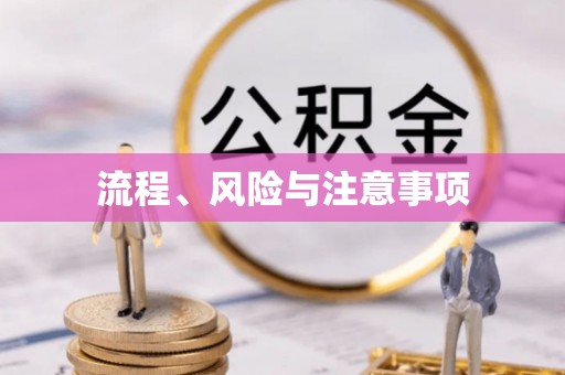车城流程、风险与注意事项